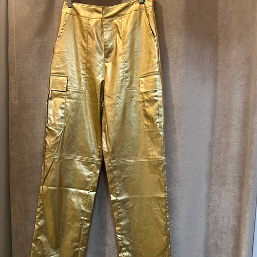 En Metallic fabric cargo pants