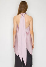 Load image into Gallery viewer, Dk openback halterneck top