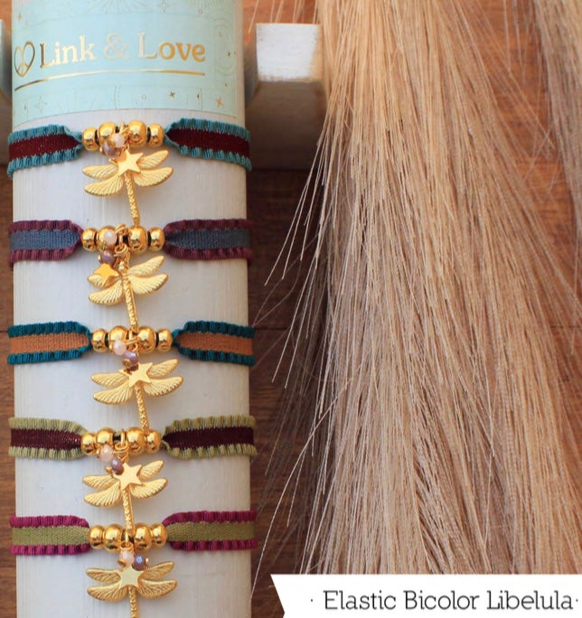 Ll tricolor Libelula