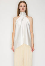 Load image into Gallery viewer, Dk openback halterneck top